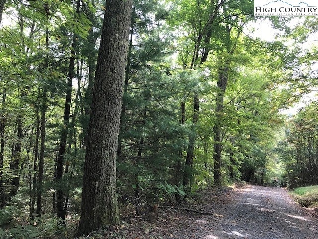 Sweet wooded lot with mature trees and mountain vi