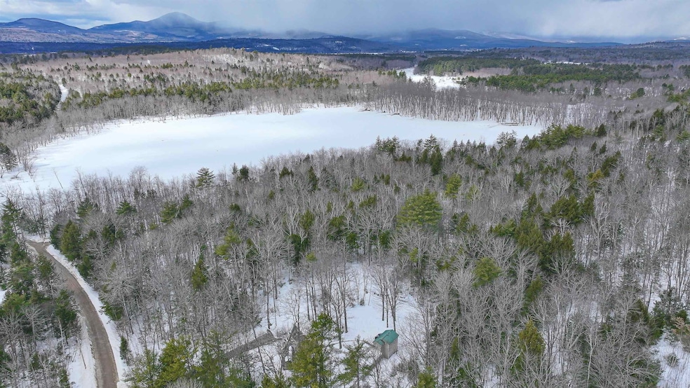 Bog Pond!