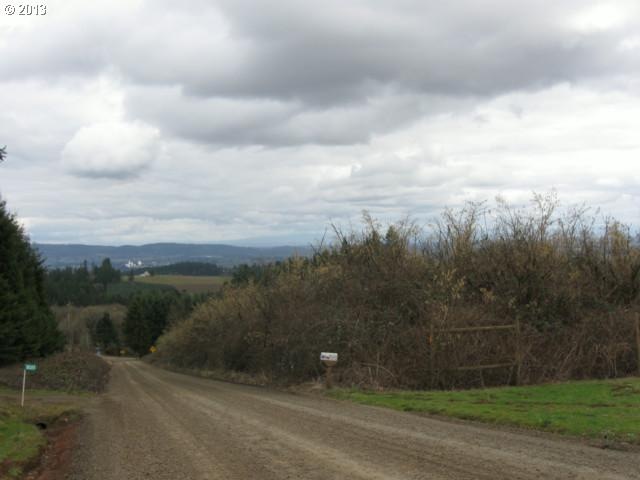 18320 NE Fairview Dr, Dundee, OR 97115 - photo 1