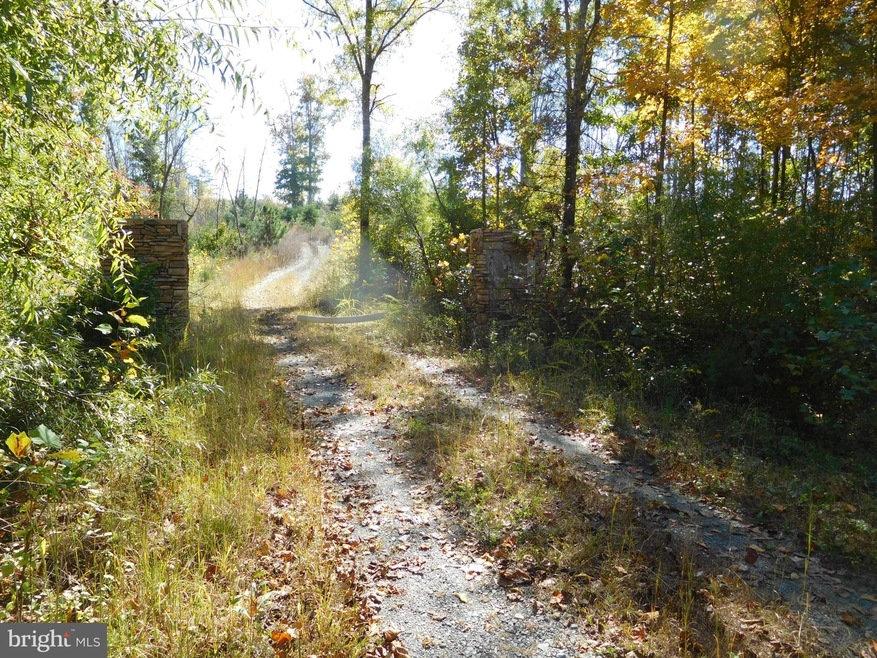 0 Tommy Trail unit 1000546207, Louisa, VA 23093 - photo 1