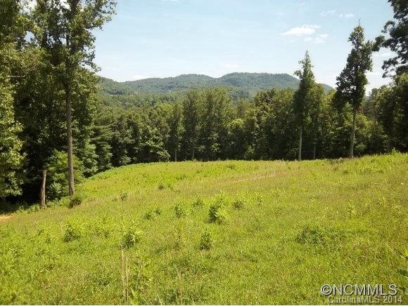 Cove pasture home site