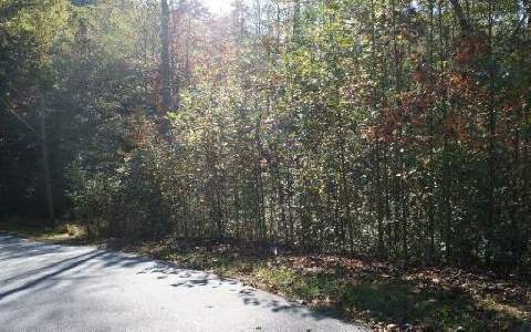 LT 27 Oakridge Mountain, Ellijay, GA 30536 - photo 1