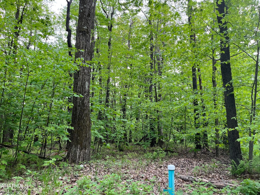 00 Timberman Rd unit Lot 39, Claysburg, PA 16625 - photo 1