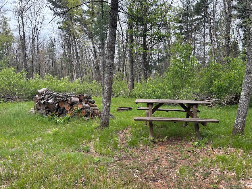 6986 W Baldwin Rd, Baldwin, MI 49304 - photo 1