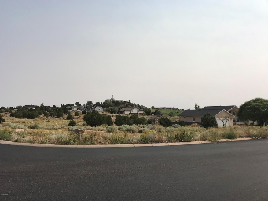 .49 Acre Lot