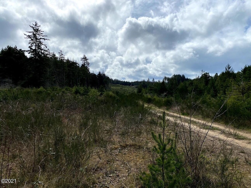 213 acres Industrial Zoned