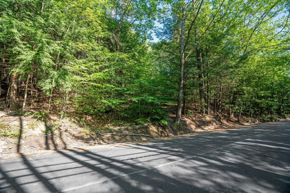 00 Old Georges Mills Rd unit 50, Sunapee, NH 03782 - photo 1