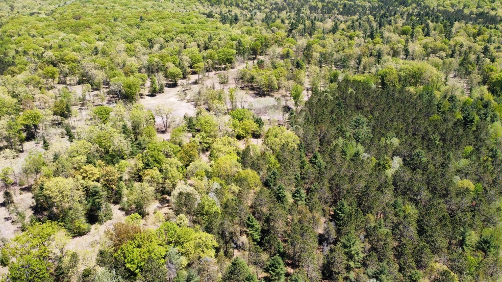 dji_fly_20230526_132034_164_168512179479