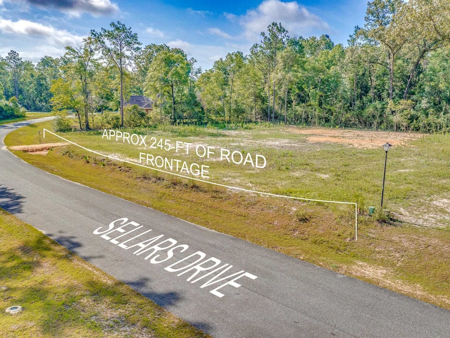 XX Sellars, Crawfordville, FL 32327 - photo 1