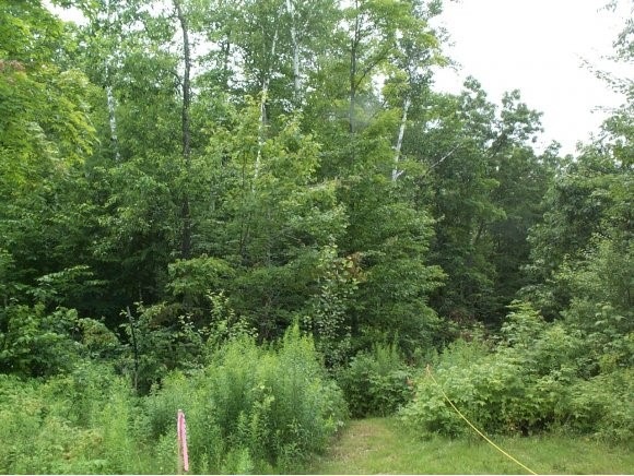 Lot 15 C Off Route 150, Shelburne, NH 03581 - photo 1