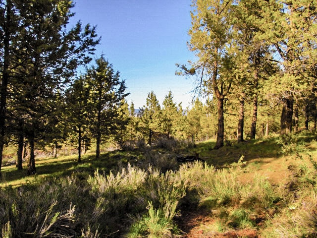 0 Pearson Butte unit Lot 16 220198014, Keno, OR 97627 - photo 1