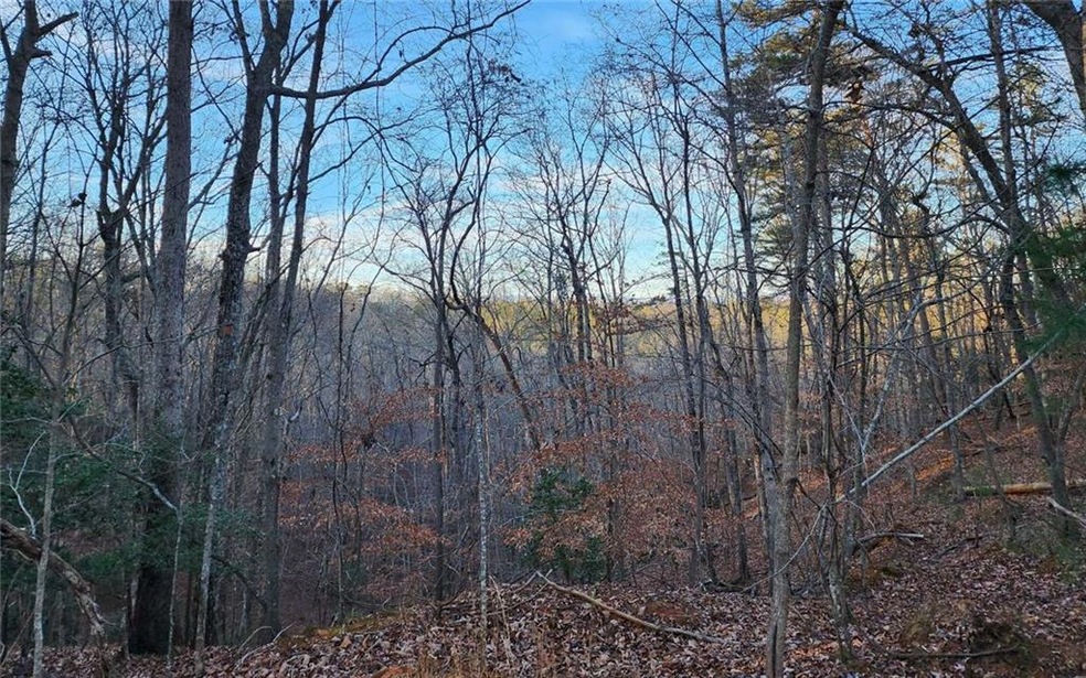 View of nature