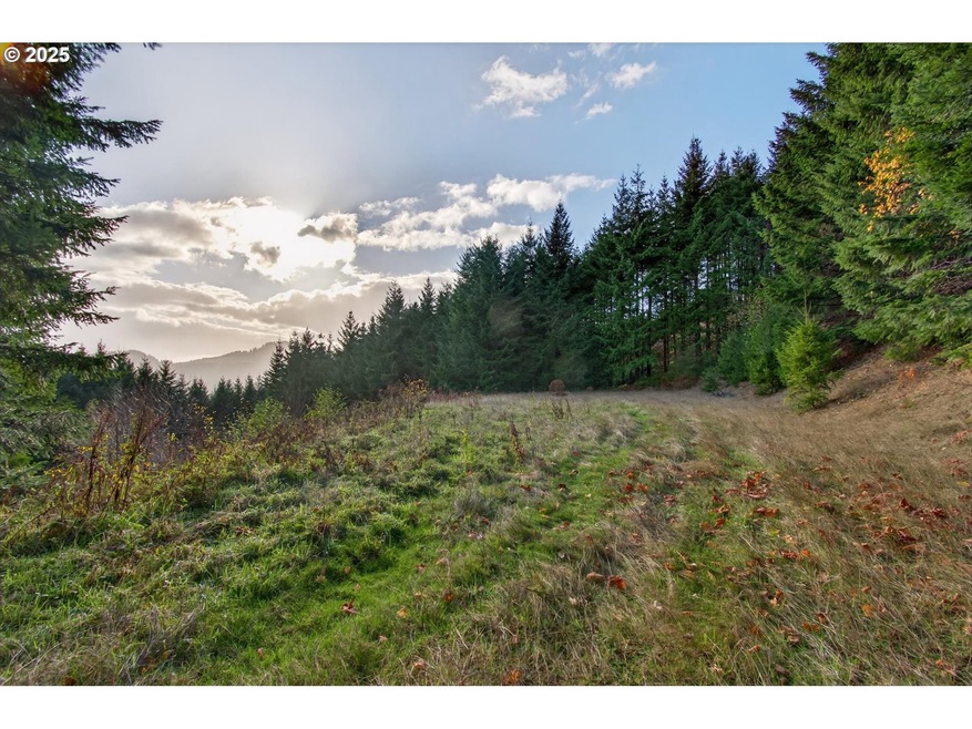 0 Knightsbridge Rd unit 787378359, Ariel, WA 98601 - photo 1