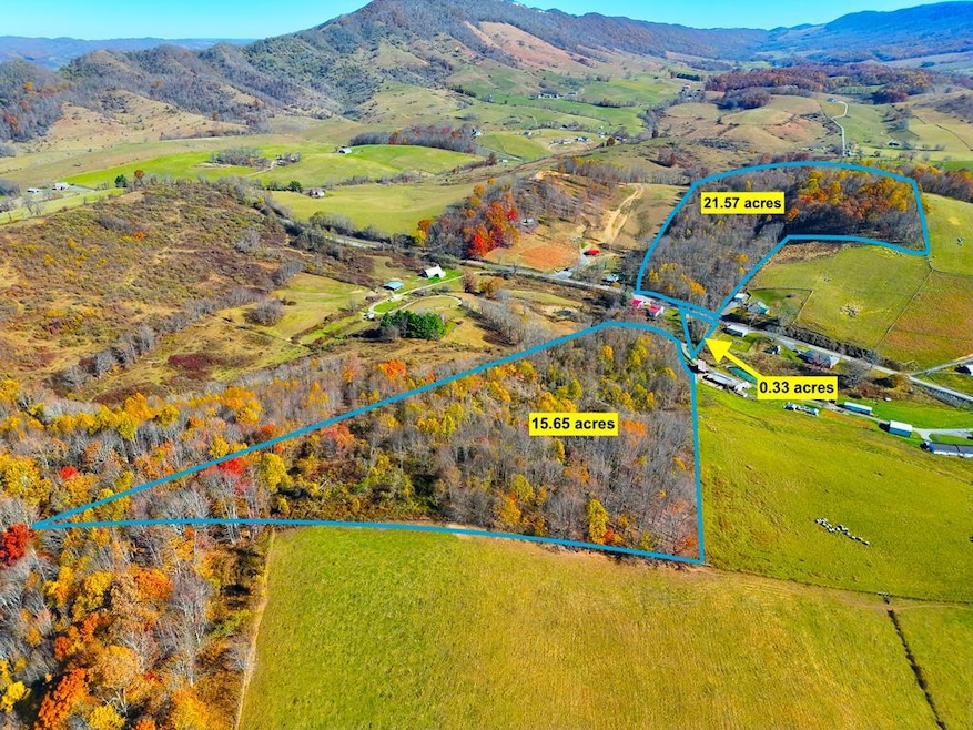 37.55 ac B F Buchanan Highway Quarter Horse Cir, Tazewell, VA 24608 - photo 1