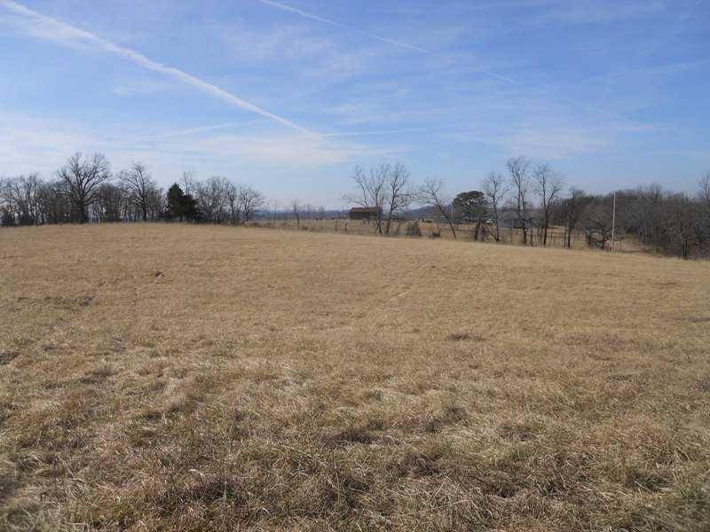 Land. tree line is approx. prop line