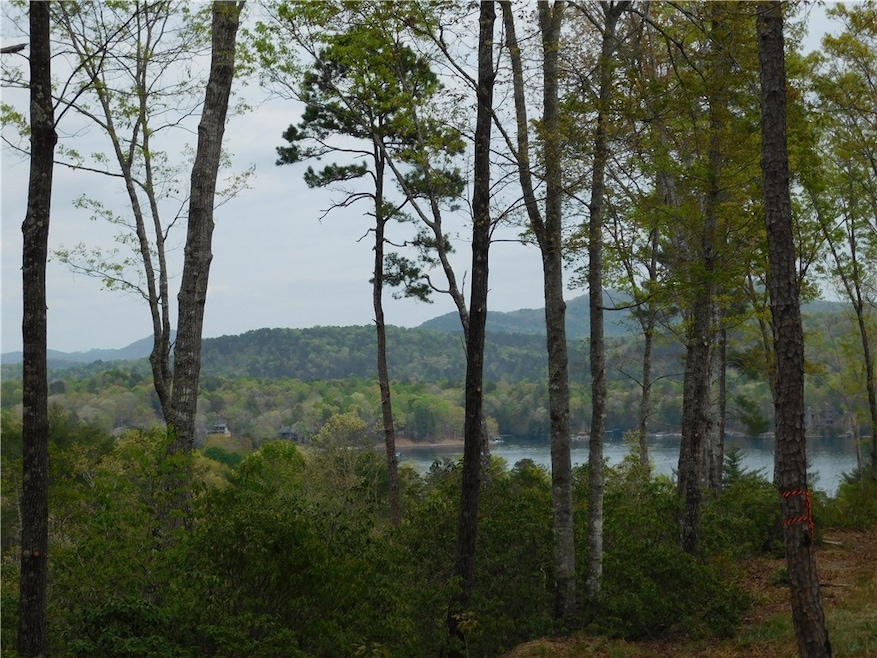 Lot 2 Old Chapman Bridge Rd, Salem, SC 29676 - photo 1