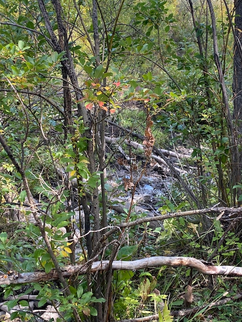 NHN Arlie Tracts, Other, See Remarks, MT 59411 - photo 1