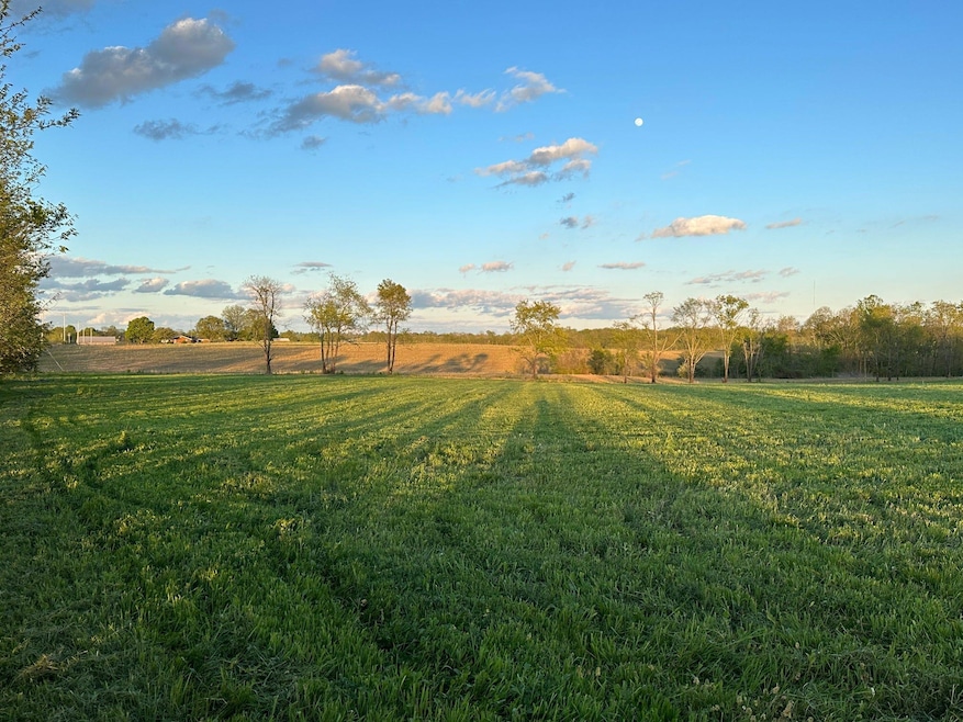 Field