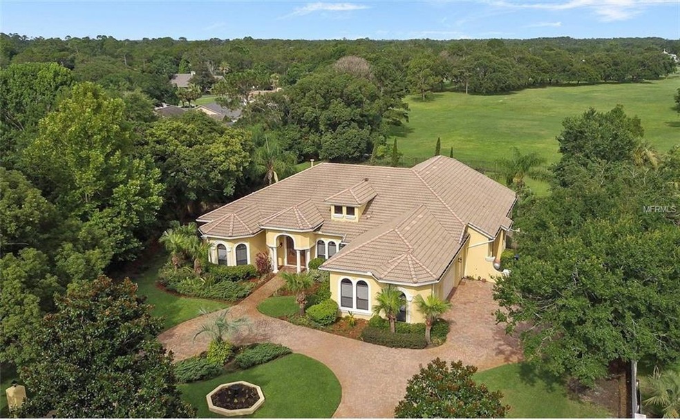 Magnificent Custom Built Pool Home!