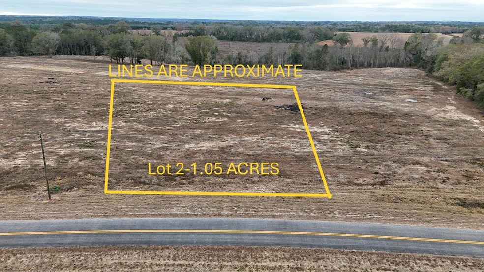 Lot 2 County Road 17, Headland, AL 36345 - photo 1