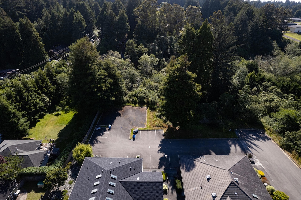 DJI_0194
