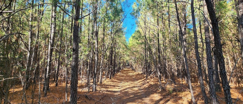 0 Shepherds Rd, Partlow, VA 22534 - photo 1