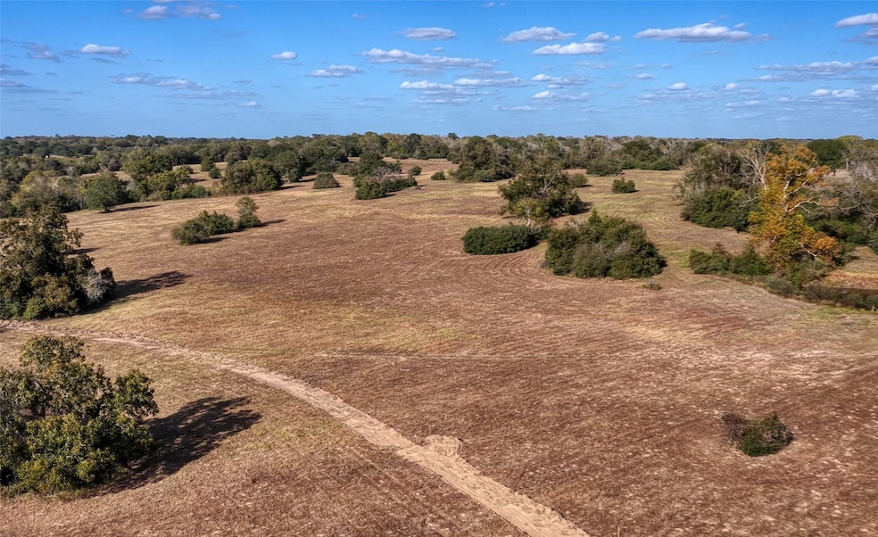 2 Creekview Trail, Brenham, TX 77833 - photo 1
