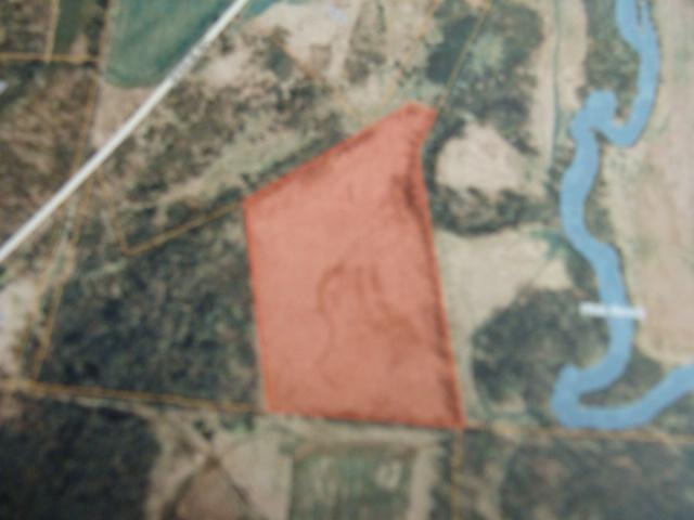 Primary Photo