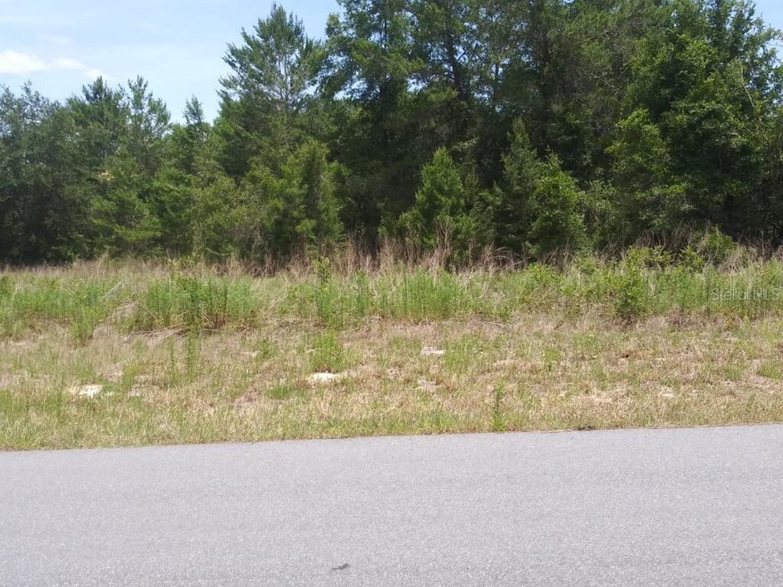 0 SW 20th Court Rd unit O5945588, Ocala, FL 34473 - photo 1