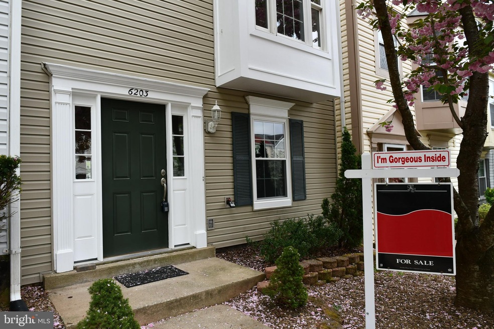 6203 William Mosby Dr, Centreville, VA 20121 - photo 1