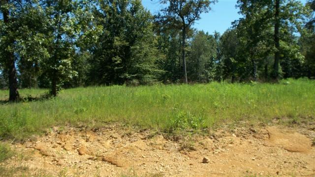 0 Spring Meadows Rd unit RTC1302574, Manchester, TN 37355 - photo 1