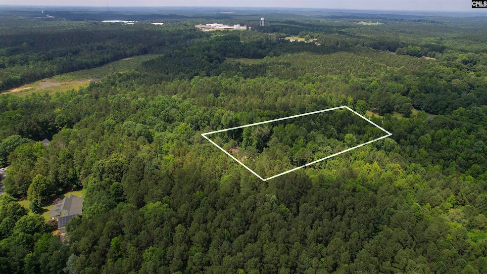 100 Bishop Ln, Prosperity, SC 29127 - photo 1