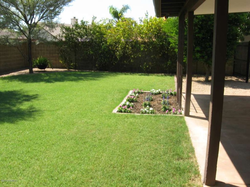 BACKYARD PARADISE!