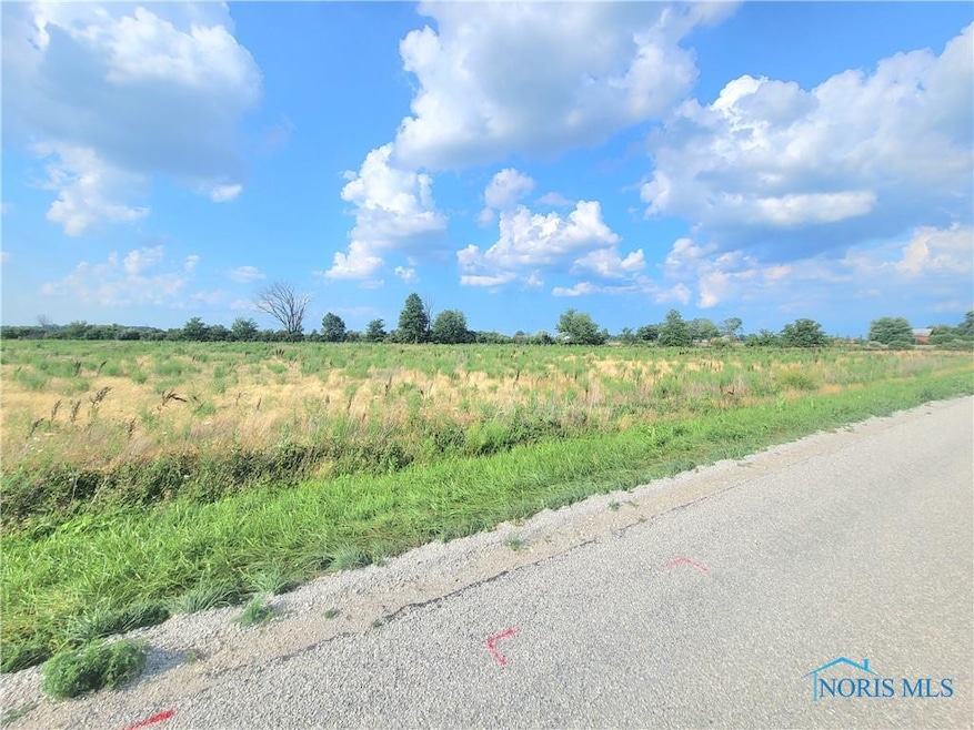 0 W Walbridge Rd, Martin, OH 43445 - photo 1