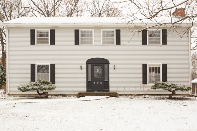 356 Meadowrue Ln, Batavia, IL 60510 - photo 1