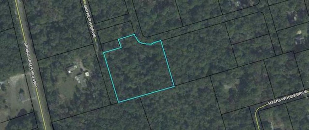 0 San Peoro Dr unit 317457, Crawfordville, FL 32327 - photo 1