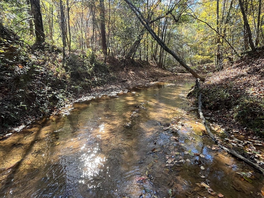 Henry Co Rd 46, Shorterville, AL 36373 - photo 1