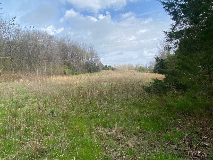 0 Case Rd, Prospect, TN 38477 - photo 1