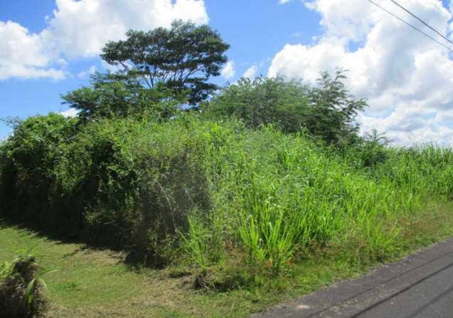 0 N Lauko Rd unit 725840, Mountain View, HI 96771 - photo 1