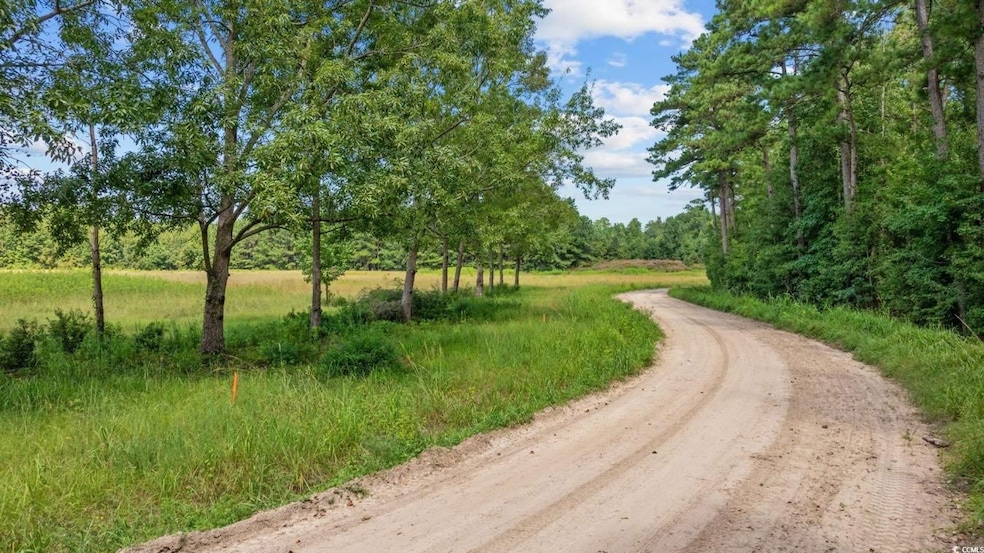 Lot 4 WoMacK Rd, Nichols, SC 29581 - photo 1