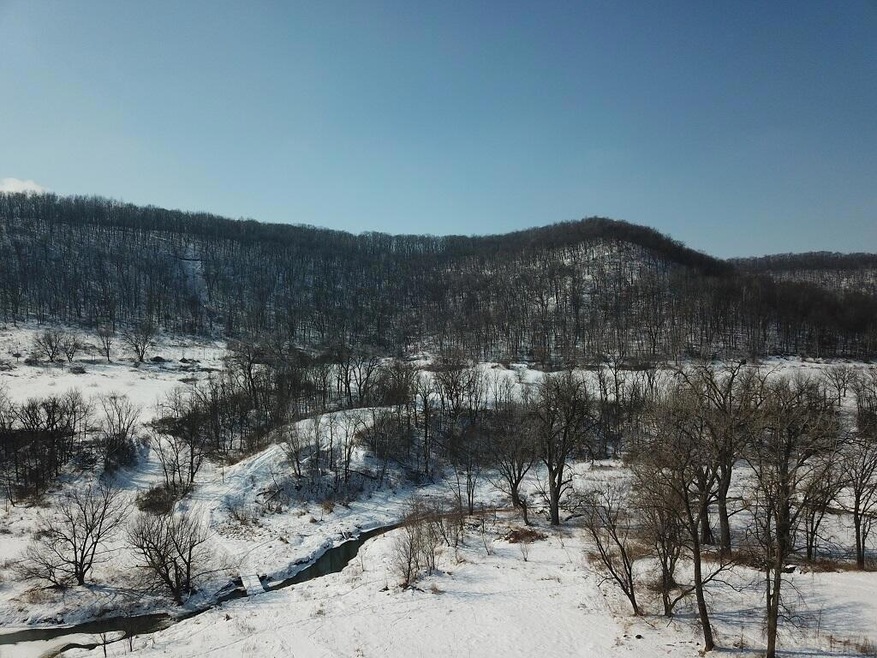 0 Hwy 76 unit 1727899, Money Creek Township, MN 55943 - photo 1