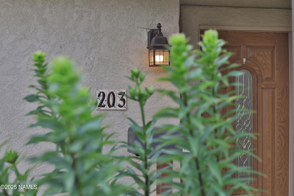 Front Yard (3)