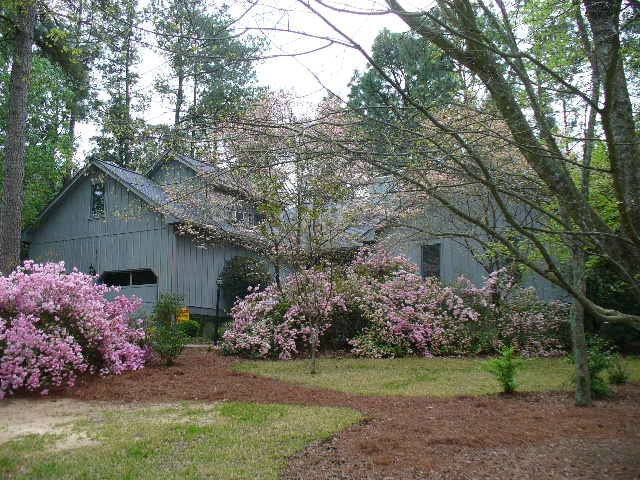 Main View