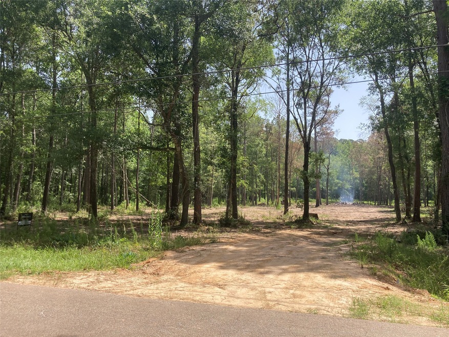 0 Miller Rd, Magnolia, TX 77354 - photo 1