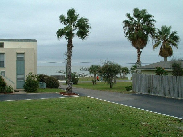 Main View