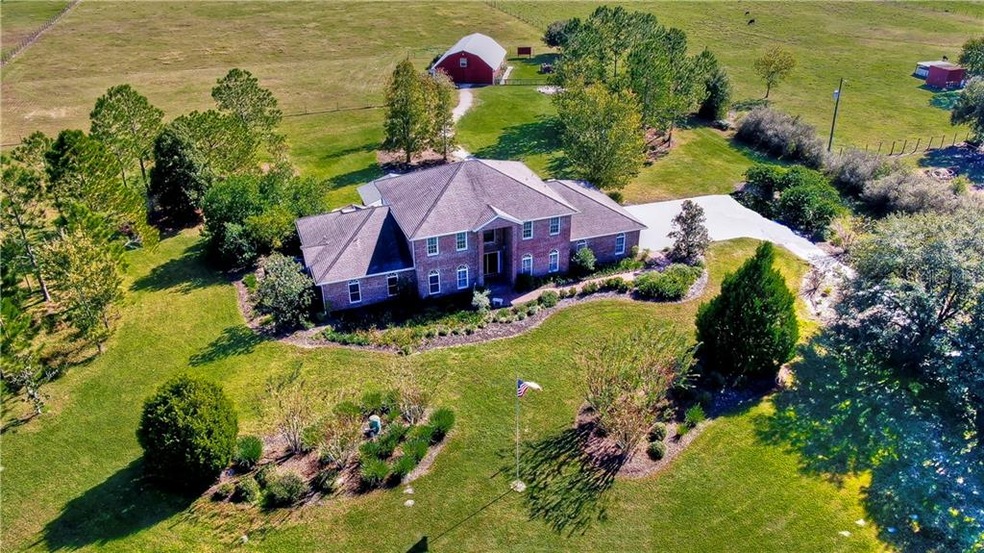 6612 Perpetual Ln, Wesley Chapel, FL 33545 - photo 1