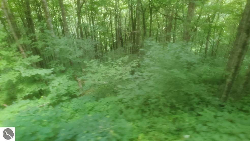 0 Fifth St unit 33, West Branch, MI 48661 - photo 1