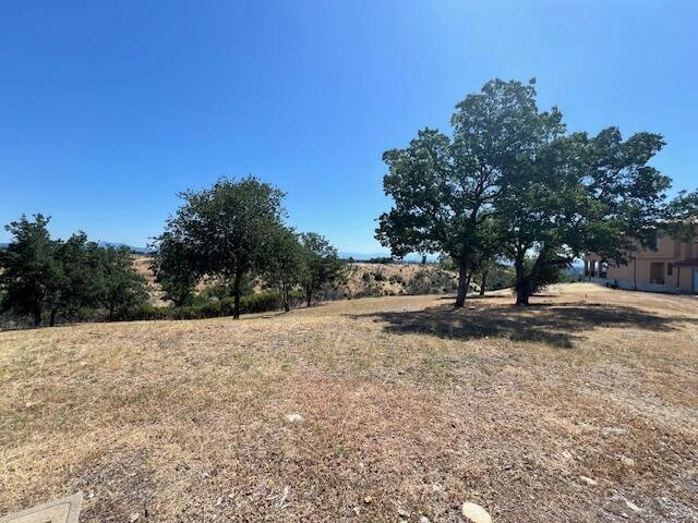Viewed Lot
