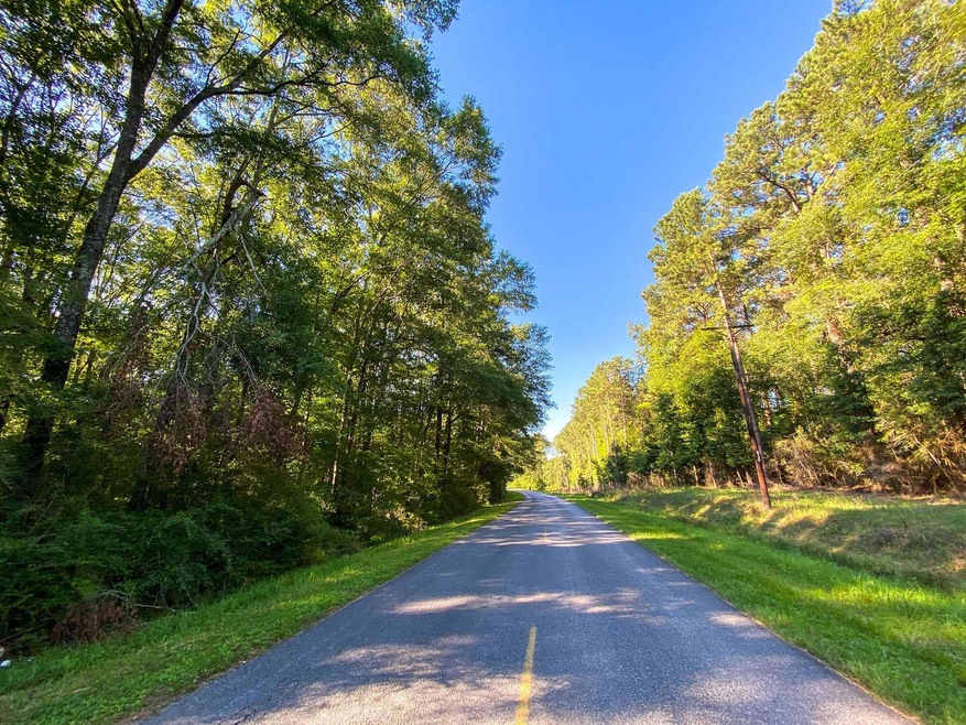 ParceL A S, Taylorsville, MS 39168 - photo 1