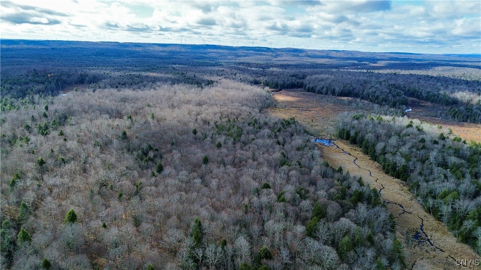 Lot 3 Jerseyfield Rd, Little Falls, NY 13365 - photo 1